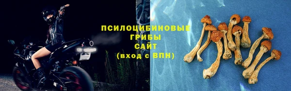 марки nbome Дмитров