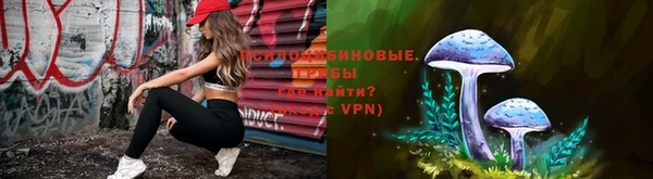 jwh Дмитровск
