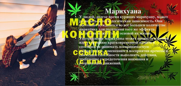 твердый Дмитриев