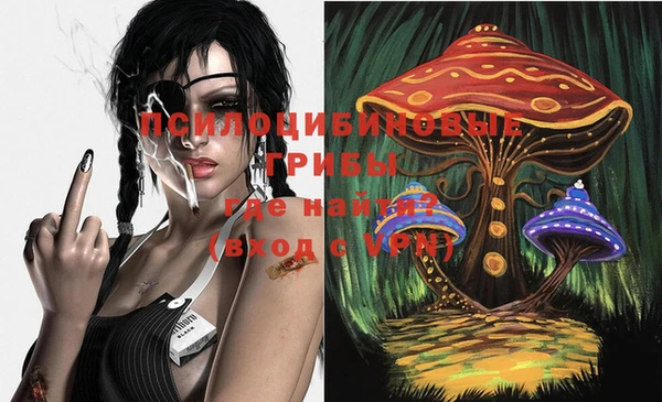 твердый Дмитриев