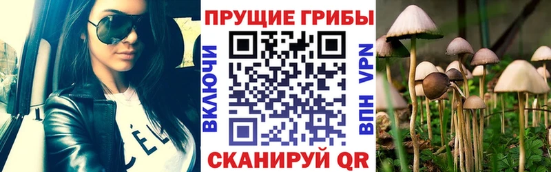 Галлюциногенные грибы прущие грибы  Купить  Дыгулыбгей 